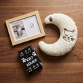 Moonlit-Cat Lovers