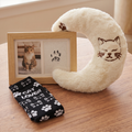 Moonlit-Cat Lovers